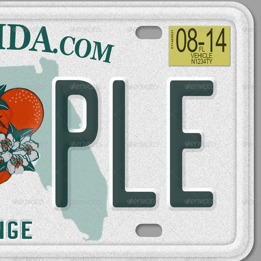 florida license plate number lookup